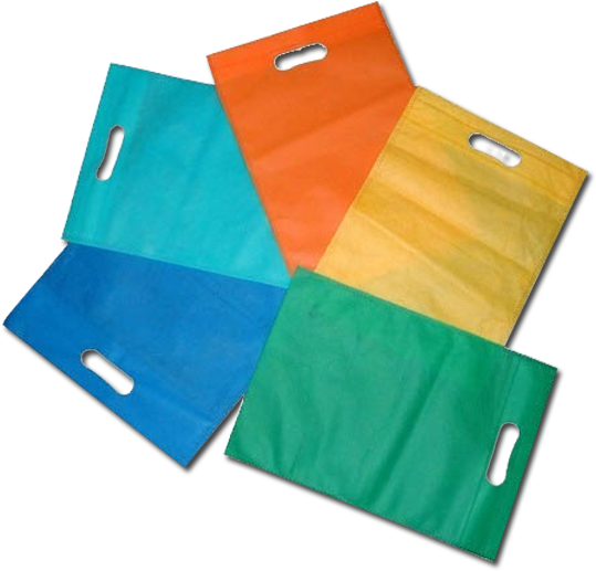 Non Woven Bags - Types Of Carry Bags (880x534), Png Download