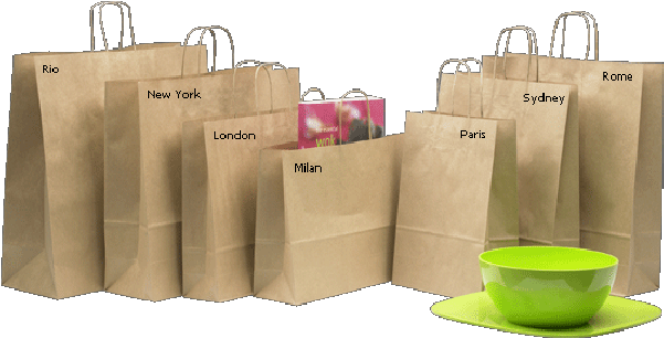 Small Brown Twist Handle Bag Pacplus (550x400), Png Download