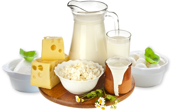 Products Manufactures, Exporters And Suppliers Of Dairy - Milk And Dairy Products Png (600x399), Png Download