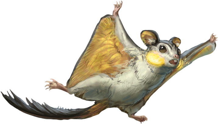 Emolga Arvalis - Arvalis Pokemon Clipart (737x428), Png Download