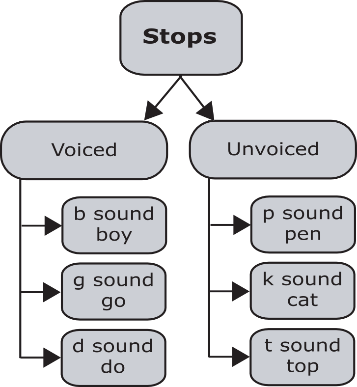 Stops - Speech-language Pathology (727x788), Png Download