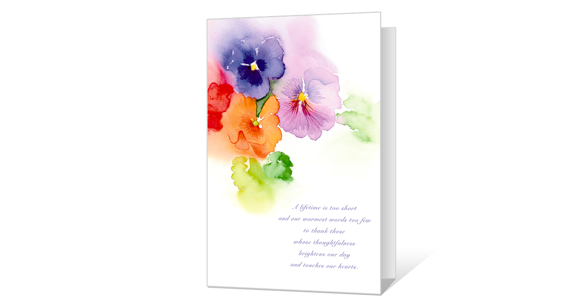 Moth Orchid (1200x628), Png Download