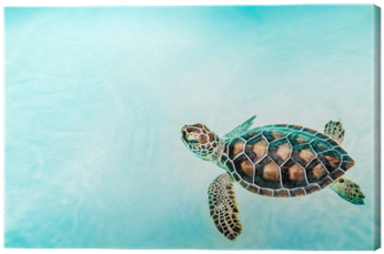 Turtle (400x400), Png Download