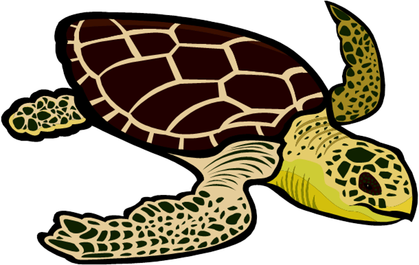 Cute Sea Turtle Clip Art - Green Sea Turtle Clipart (634x385), Png Download