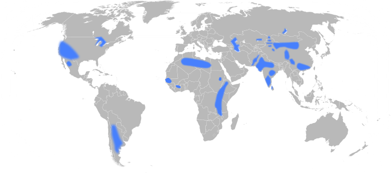 Fluoride Concentrations - India To New Zealand Map (800x353), Png Download