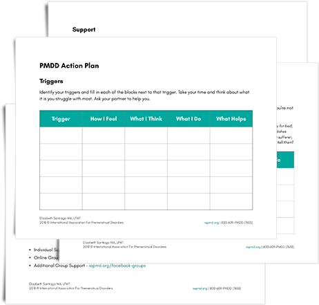 Pmdd Action Plan - Action Plan (500x500), Png Download