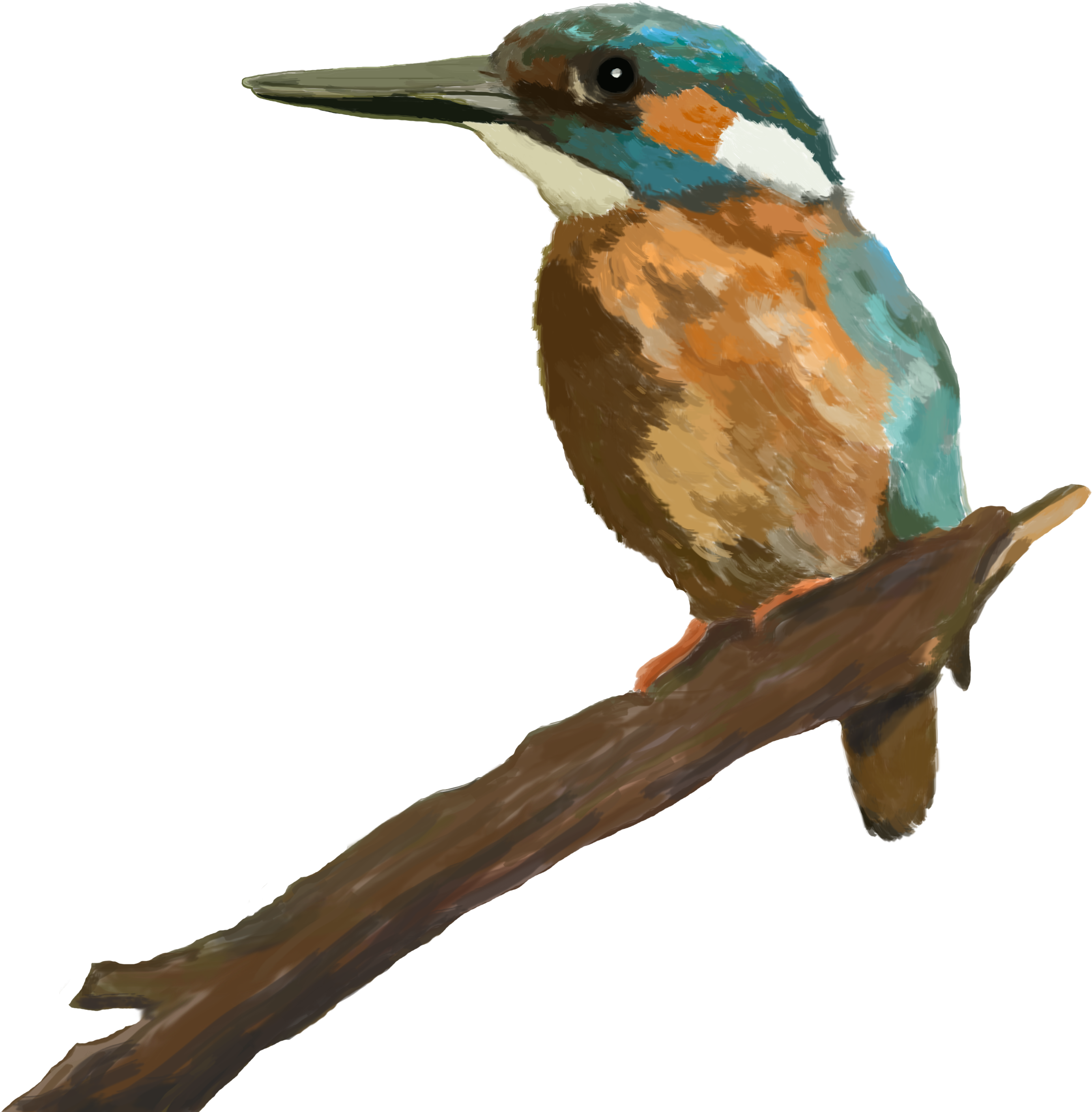 Blauet Disseny 2 Unnamed - Design (3085x3246), Png Download