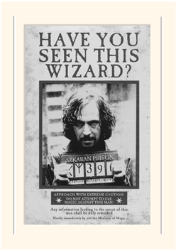 Sirius Black - Harry Potter Poster Sirius Black (422x480), Png Download