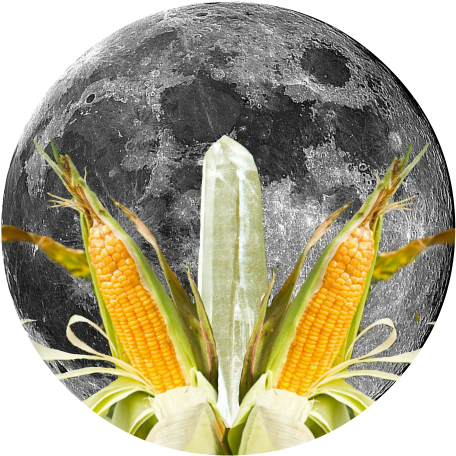 The Farmer's Almenac Explains Why This Moon Is Both - Super Moon Nov 2016 (480x480), Png Download