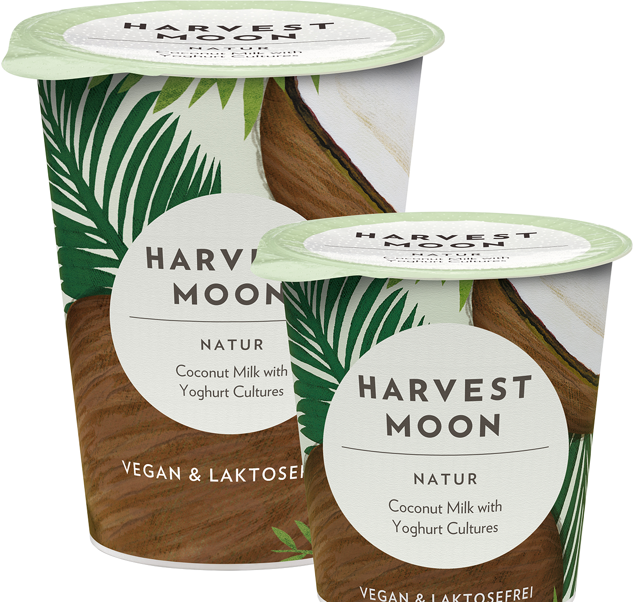 Index Of Uploads Png Harvest Moon Milk - Iogurte De Leite De Coco (1304x1200), Png Download