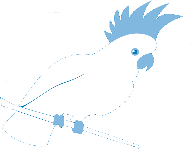 Cockatoo Blue - Sulphur-crested Cockatoo (892x892), Png Download