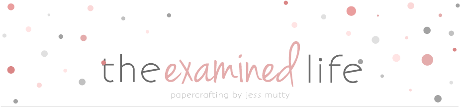 The Examined Life - Necklace (936x220), Png Download