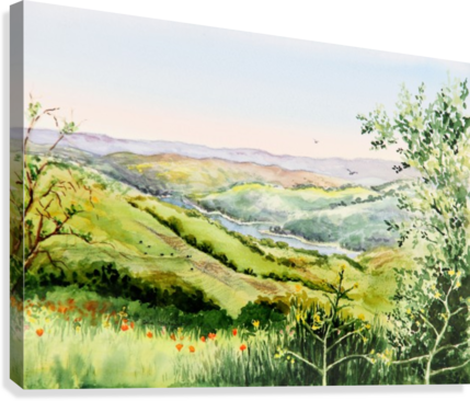 Summer Landscape Inspiration Point Orinda California (429x366), Png Download