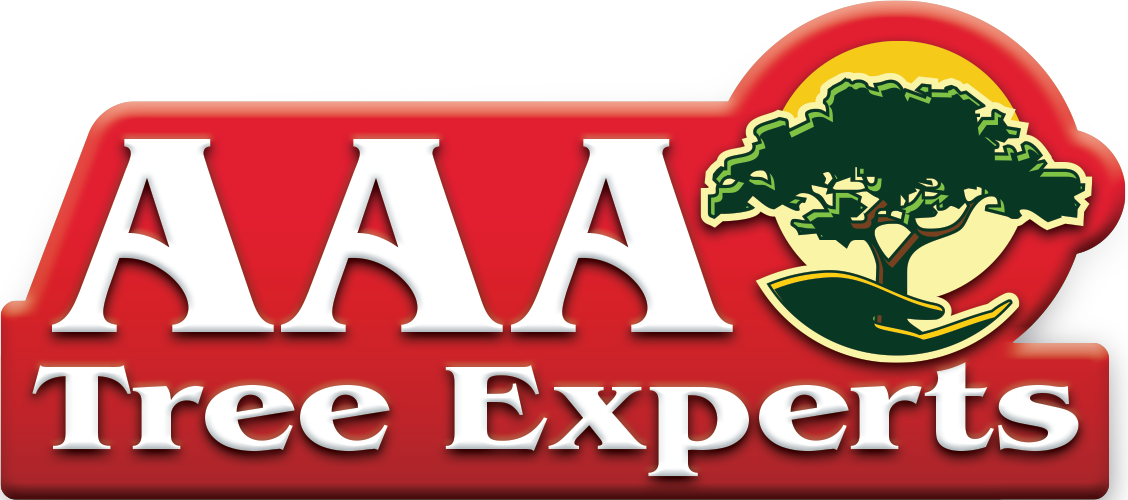 Aaa Tree Experts Logo - Aaa Tree Experts (1128x500), Png Download