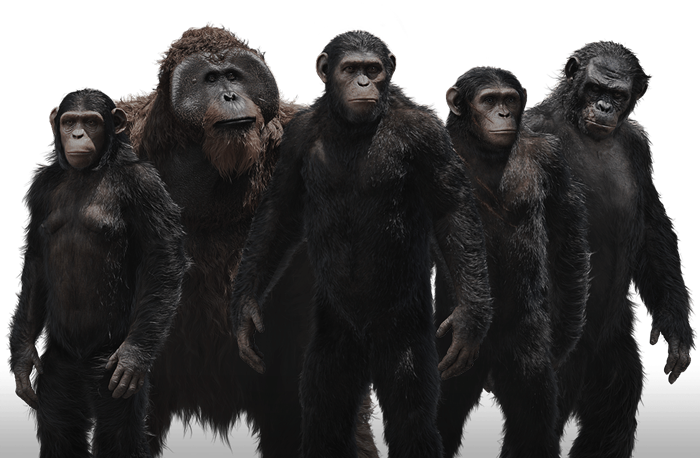 Planet Of The Apes Png (700x458), Png Download