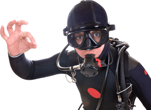 Diver Png - Scuba Diver Out Of Water (524x383), Png Download