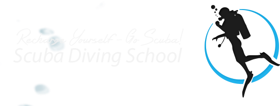Scuba Diving - Scuba Diving Logo Png (580x216), Png Download
