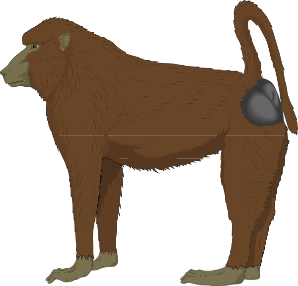 Blue Bottomed Ape Svg Clip Arts 600 X 576 Px (600x576), Png Download