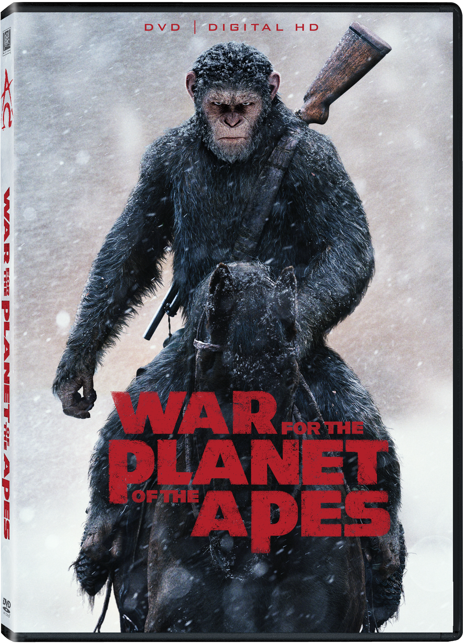 Dvd (1950x2400), Png Download