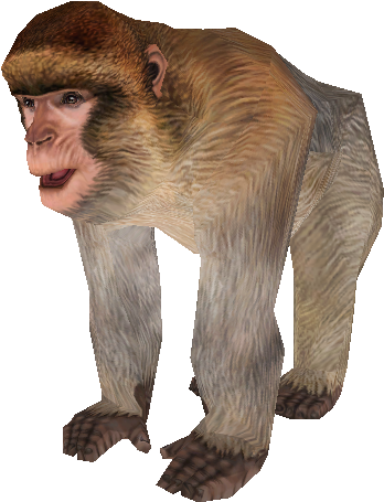 Download Zip Archive - Zoo Tycoon 2 Barbary Ape (750x650), Png Download