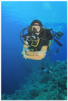 Scuba Diving (400x400), Png Download