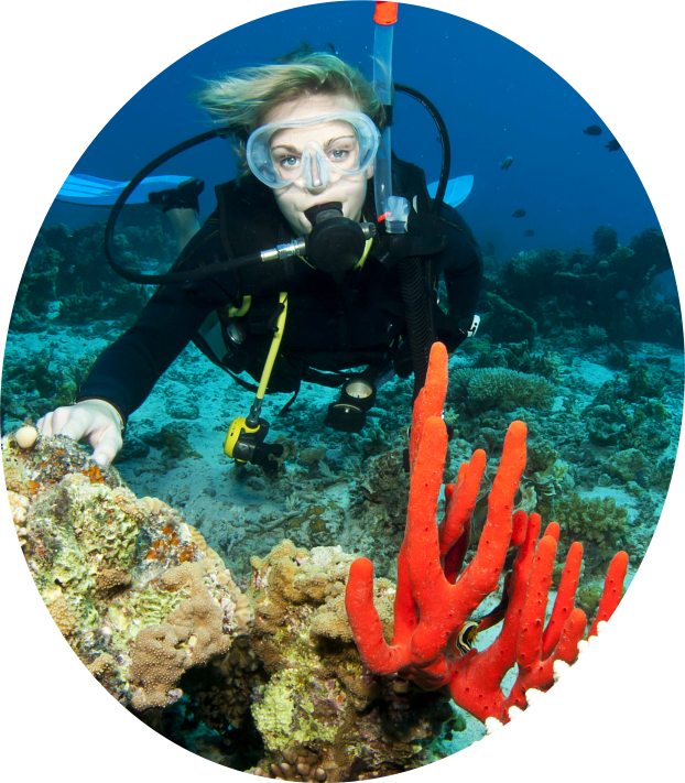 Banner-img - Banner (622x711), Png Download