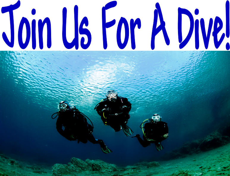 Join Us For A Dive - Scuba Diving (774x593), Png Download