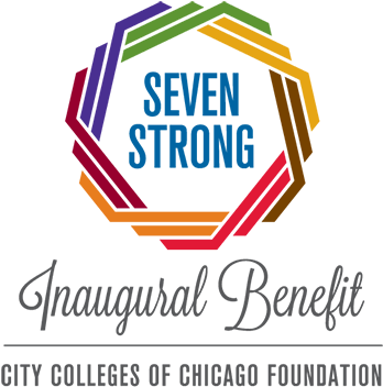 City Colleges Of Chicago - Instagram Throw Pillow Cover With Insert (16" X 16") (387x380), Png Download