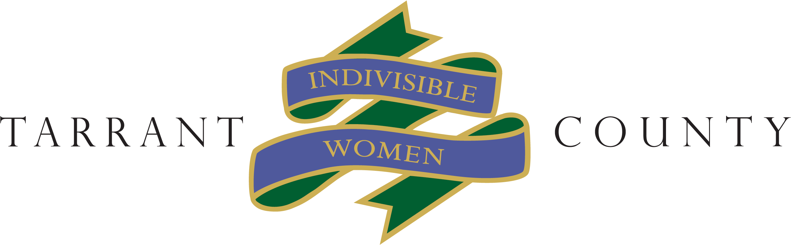 Indivisible Women Tarrant County - 2018 (4012x959), Png Download