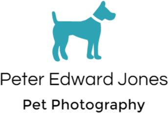 Dog Vector (378x380), Png Download
