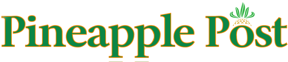 Pineapple Soap By Brian Goodwin (976x212), Png Download