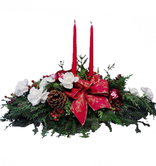 Christmas Glow - Anthurium (600x600), Png Download