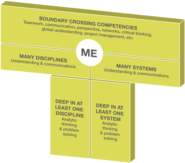 What Is The T - T Shaped Engineer (700x599), Png Download