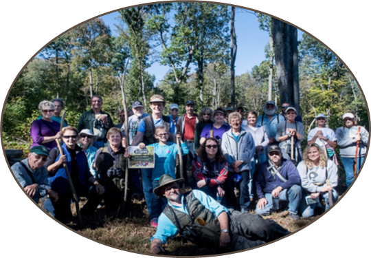 Walk, Roll, And Explore The Woods Near You In Every - Social Group (540x375), Png Download