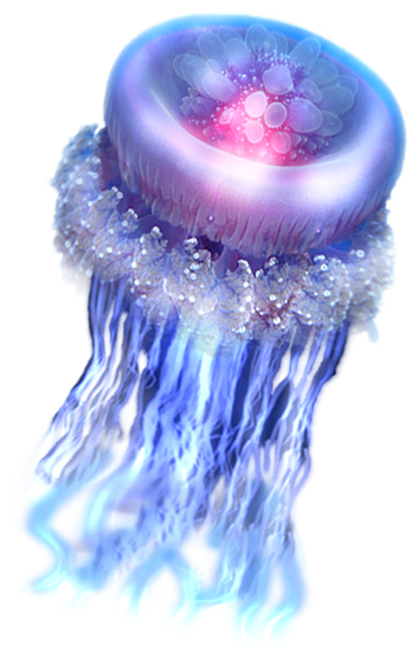 Png Free Clip Art Aquatic Creature Transprent Png - Clip Art (435x680), Png Download