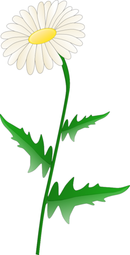 Daisies Clipart Public Domain - Daisy Clipart (256x499), Png Download