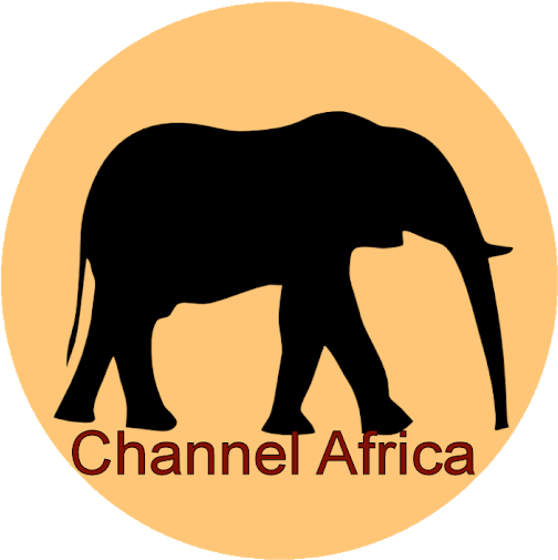 Photo - Elephant Creature Power Disc (530x530), Png Download