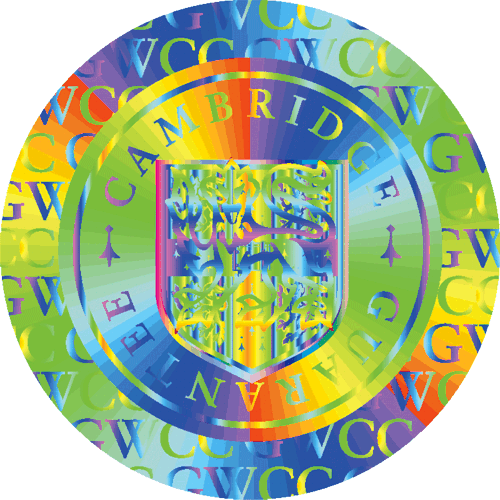 Dynamic Hologram - Circle (500x500), Png Download