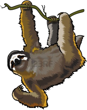 Download Dylan Obrien Transparent Tumblr Tumblr Transparent Cartoon Sloth No Background Png Image With No Background Pngkey Com