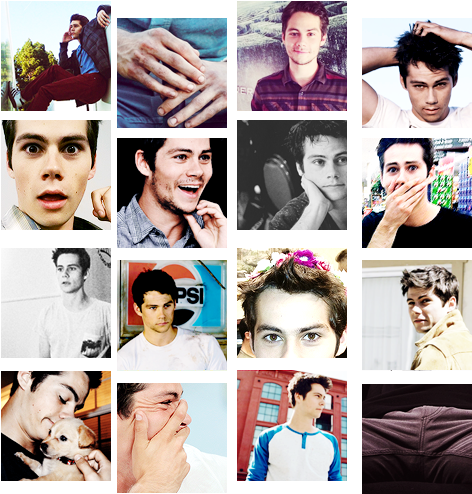Dylan O'brien I Don't Even Know What This Is Twedit - Collage (500x580), Png Download
