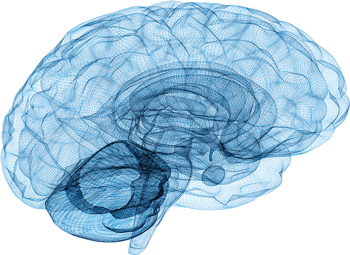 Our Approach - Neurologia De Bolsillo By M. Brandon Westover (918x698), Png Download