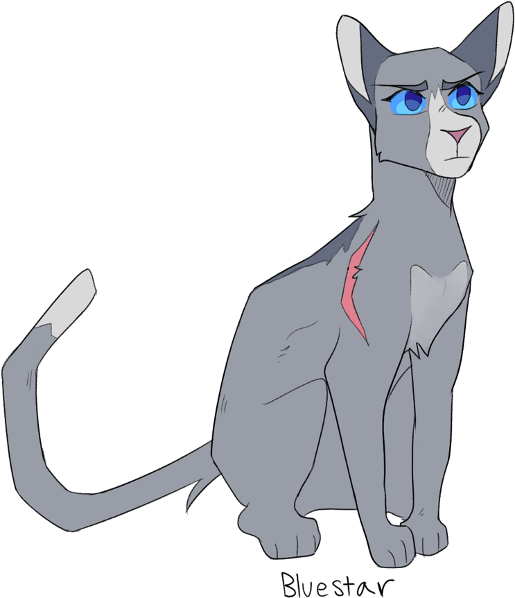 Cat Yawns (1280x964), Png Download