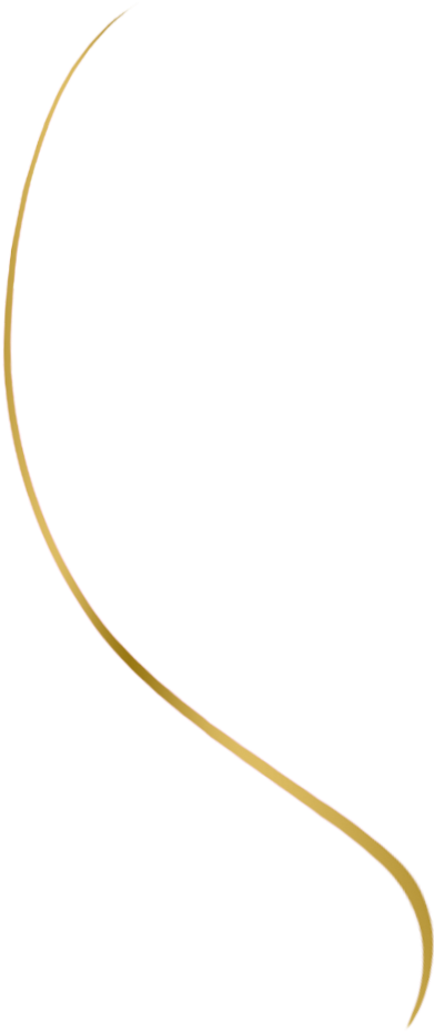 Linha - Tan (418x981), Png Download