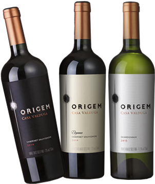 Nova Linha Origem Da Casa Valduga X26y162220 - Casa Valduga Origem Cabernet Sauvignon 2015 (328x396), Png Download