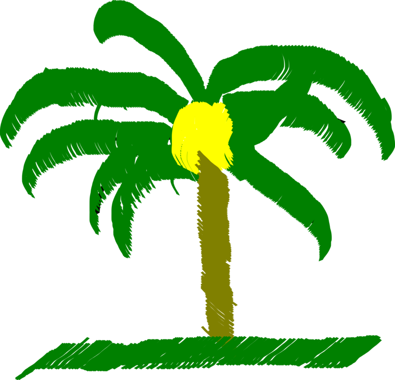 Palm Trees Drawing Line Art Computer Icons - Palma Art (781x750), Png Download