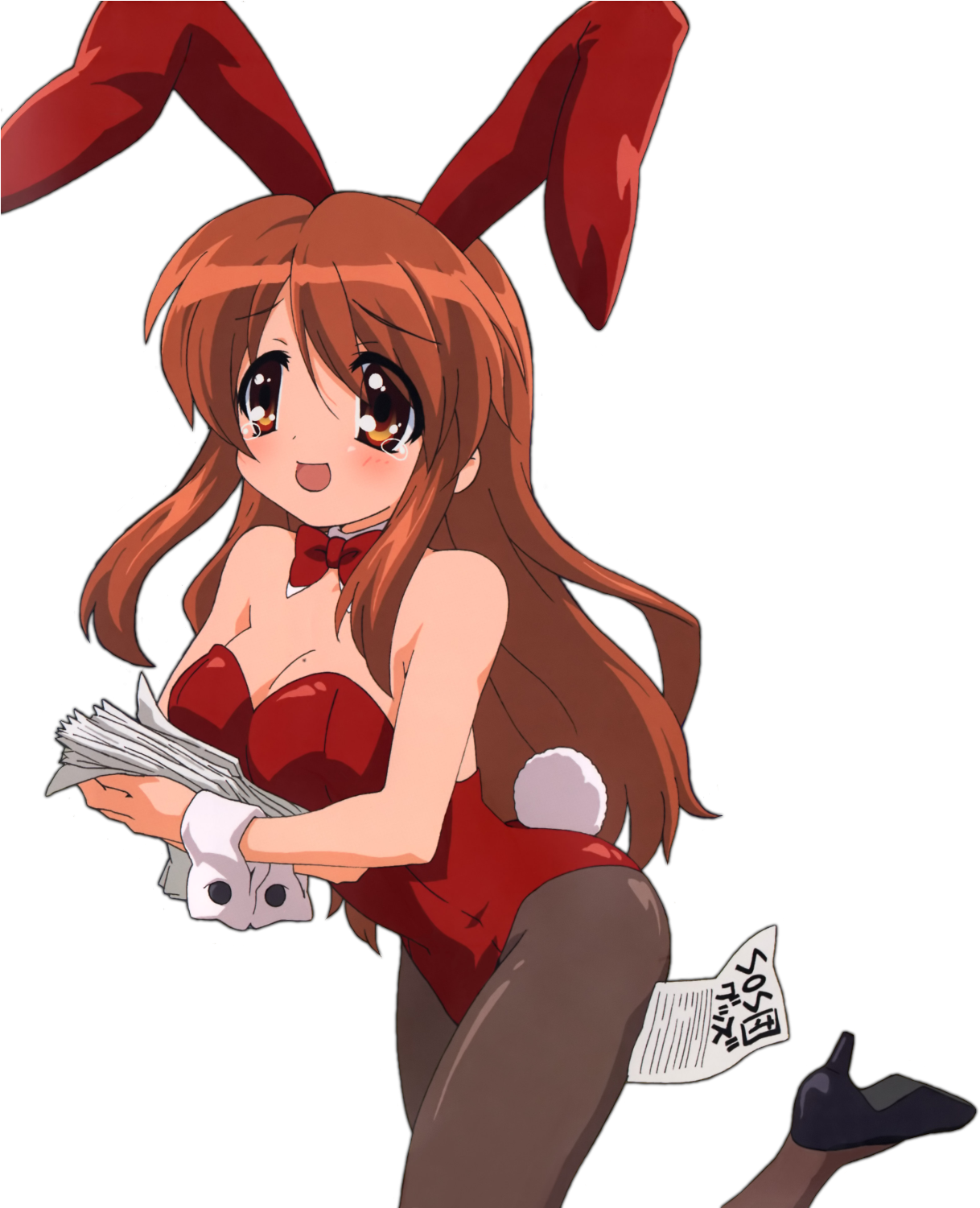 View Samegoogleiqdbsaucenao Bunnymikuru , - Mikuru Bunny Girl (1229x1500), Png Download