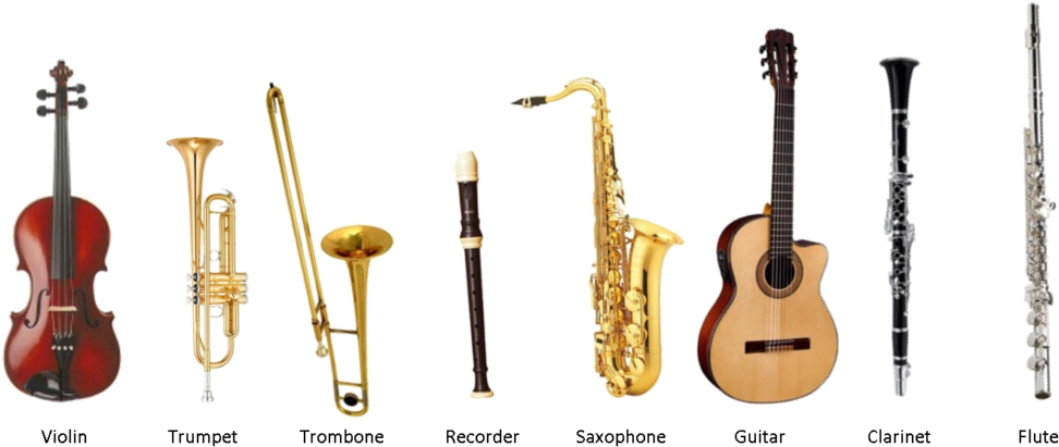 We Offer Instrumental Tuition For The Following Musical - Instrumental Music Instruments Names (1024x425), Png Download
