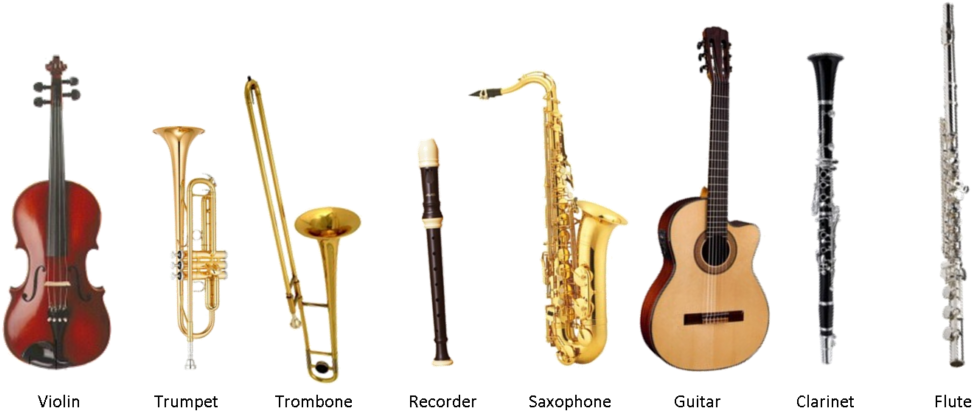 Download We Offer Instrumental Tuition For The Following Musical Instrumental Music Instruments Names Png Image With No Background Pngkey Com