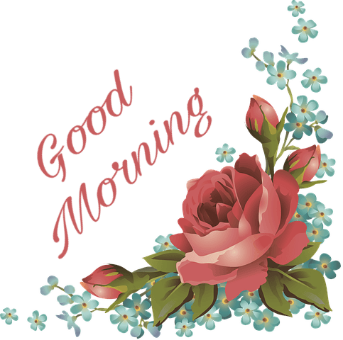 Gm Roses Pic - Roses Border Frame Clipart (483x480), Png Download