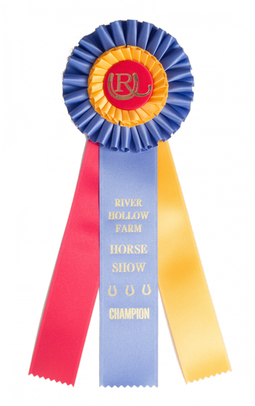 300 Custom Award Rosetterosettesrs 300 936 - Custom Rosette Award Ribbon (800x800), Png Download